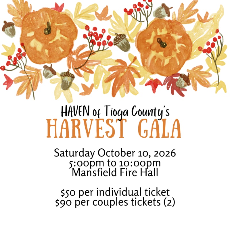 Two watercolor pumpkins and autumn leaves adorn the top of a flyer announcing HAVEN of Tioga County's Harvest Gala.