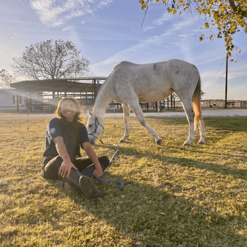 A person sits on a grassy field in the foreground, while a white horse grazes in the background under a bright, cloudy sky.