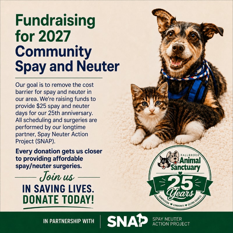 A dog and a kitten sit together in the foreground, with text about fundraising for spay and neuter services in the background.