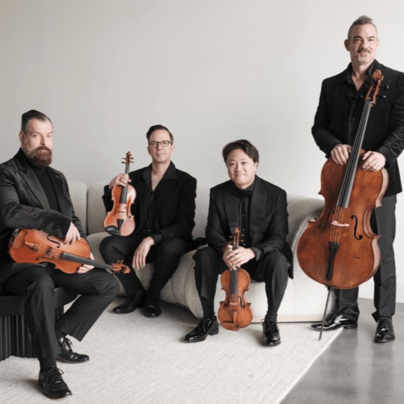 Four musicians in formal attire sit and stand with their string instruments against a plain, light-colored background.