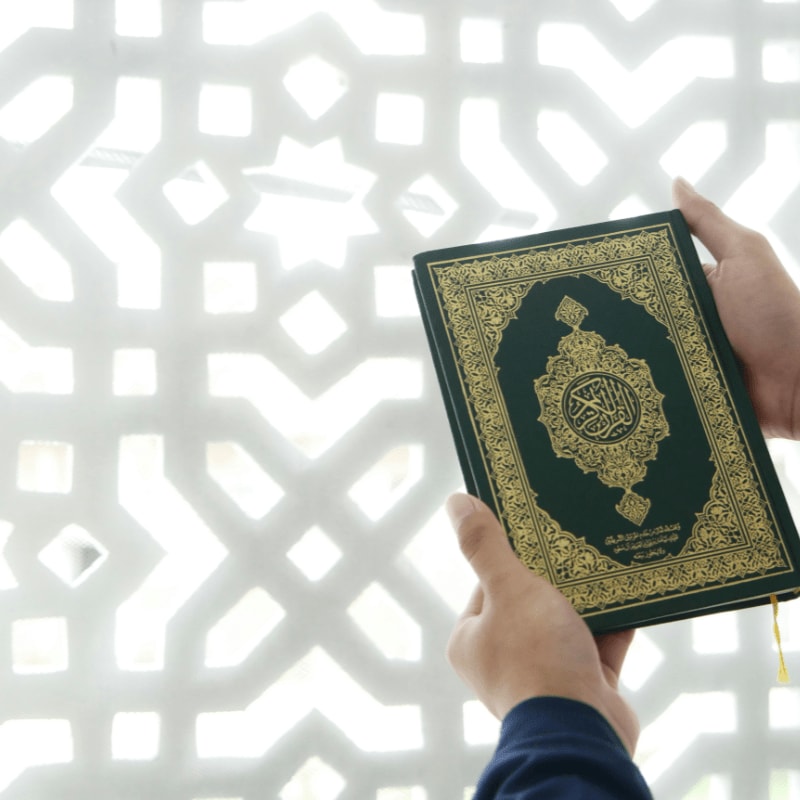 a person holding a book in their hand