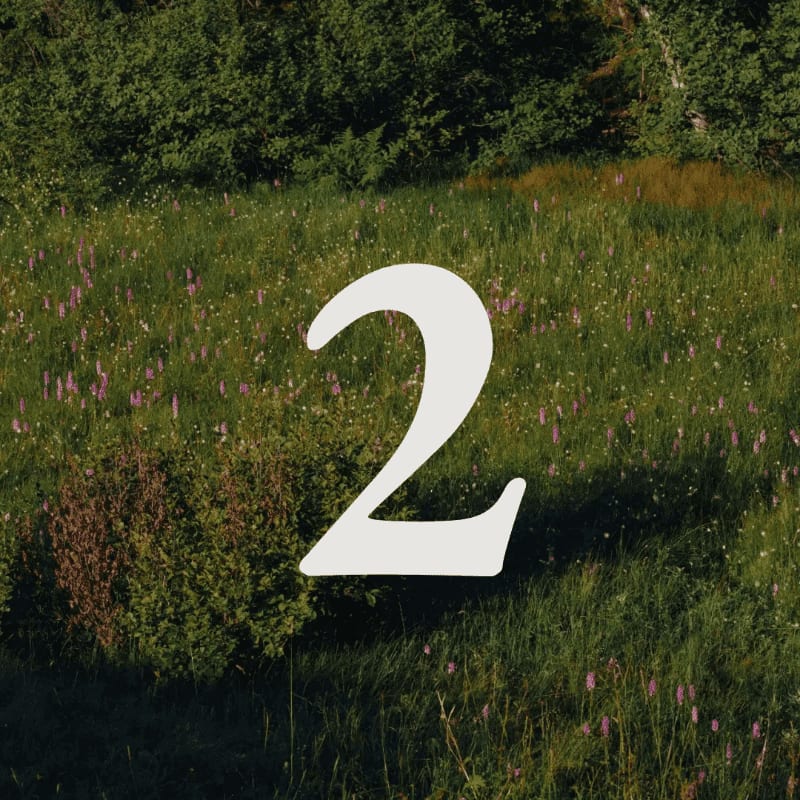 A large white number "2" floats over a sun-dappled meadow filled with purple wildflowers and lush green foliage, with a dense forest forming the background.