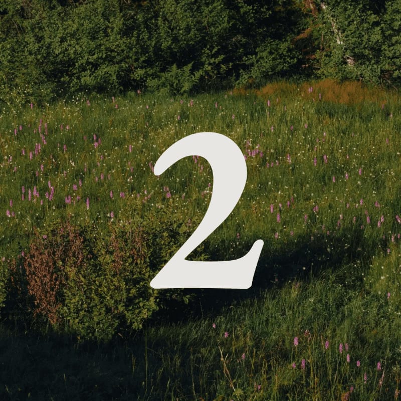 A large white number "2" floats over a sun-dappled meadow filled with purple wildflowers and lush green foliage, with a dense forest forming the background.