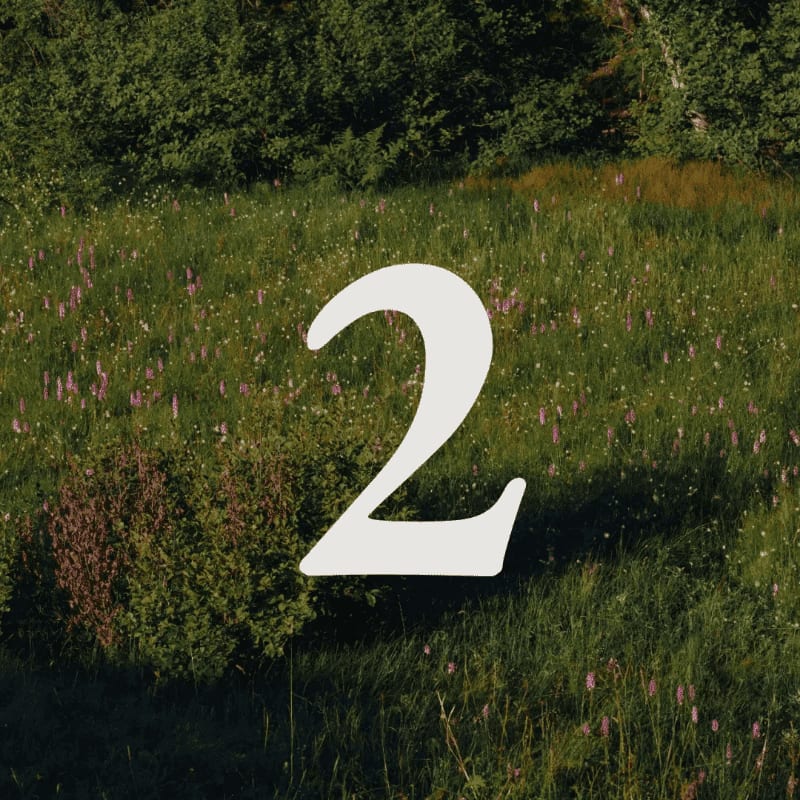 A large white number "2" floats over a sun-dappled meadow filled with purple wildflowers and lush green foliage, with a dense forest forming the background.