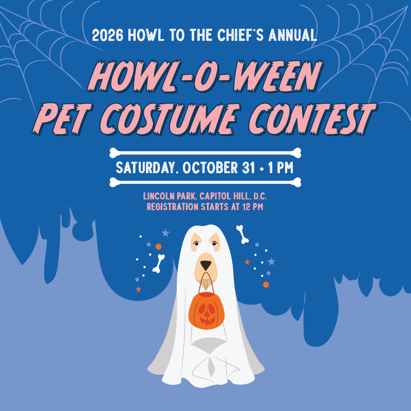A white dog dressed as a ghost holds a pumpkin bucket in the foreground, while the background features event details for a "Howl-o-ween Pet Costume Contest" against a blue, web-decorated sky.