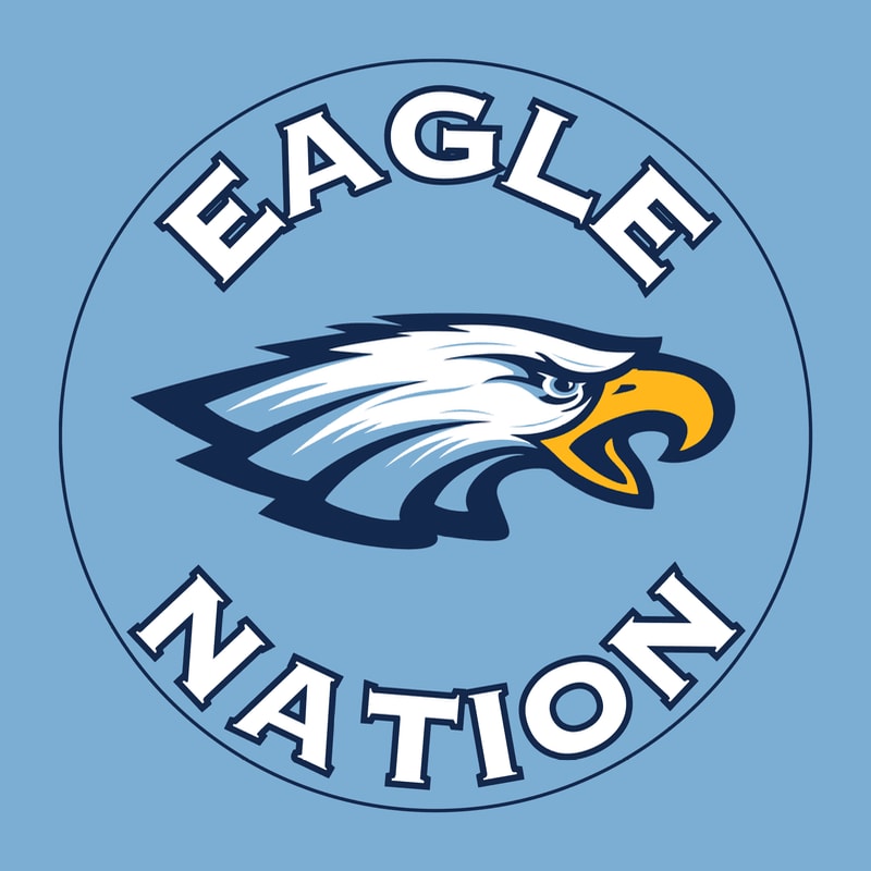 A stylized eagle head with the words "EAGLE NATION" encircling it is set against a light blue background.