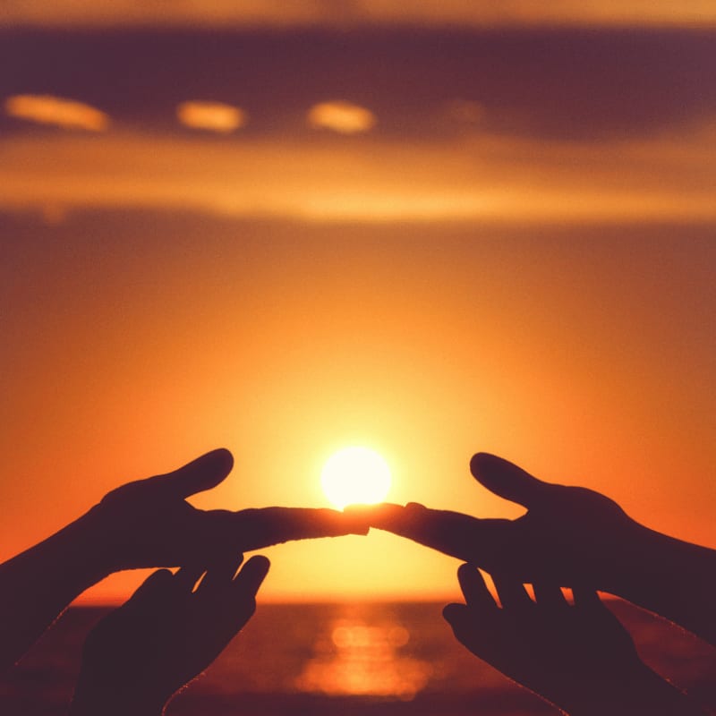 silhouette of persons hand during sunset