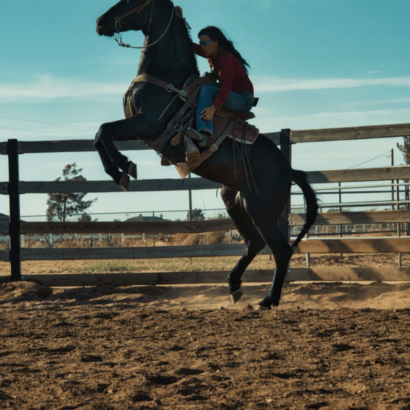 man in red shirt riding brown horse during daytime