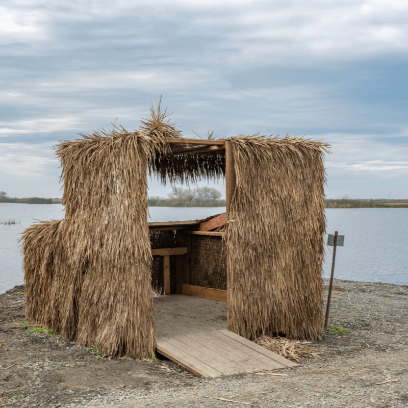 A rustic duck blind made of straw stands on a muddy bank in front of a calm lake under a cloudy sky.