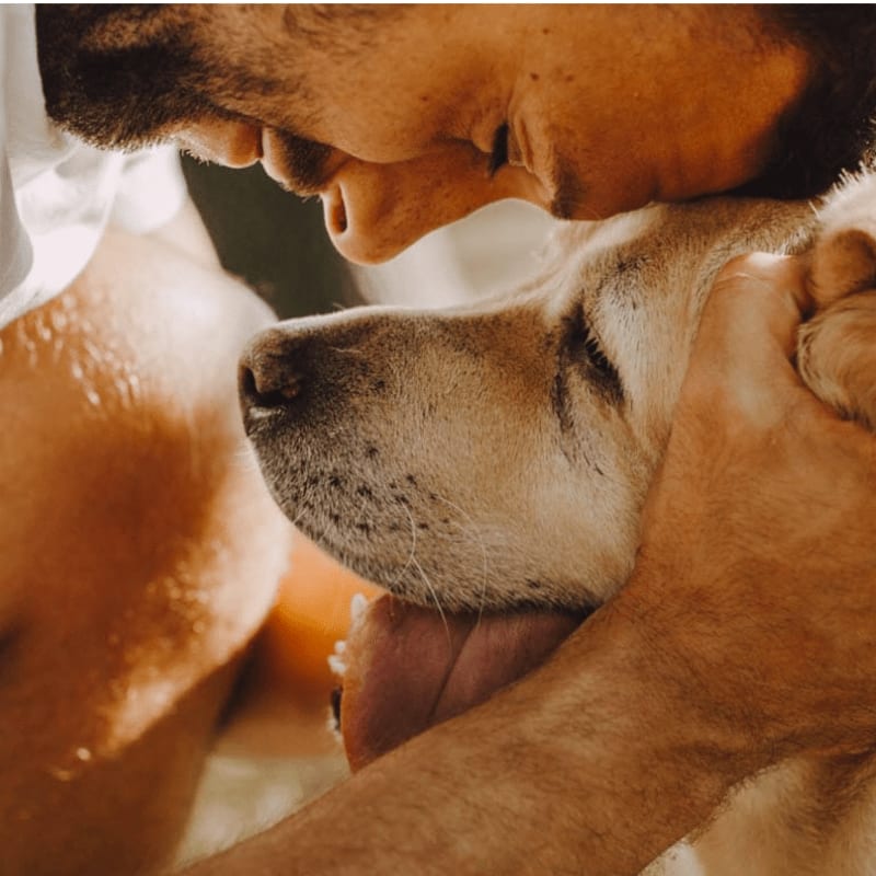 A man gently embraces his golden retriever, with a soft, blurred background.