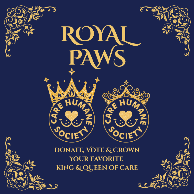 Gold ornate corners frame a dark blue background with "ROYAL PAWS" in gold lettering above two circular emblems featuring crowns and hearts, with text below encouraging donations and voting.