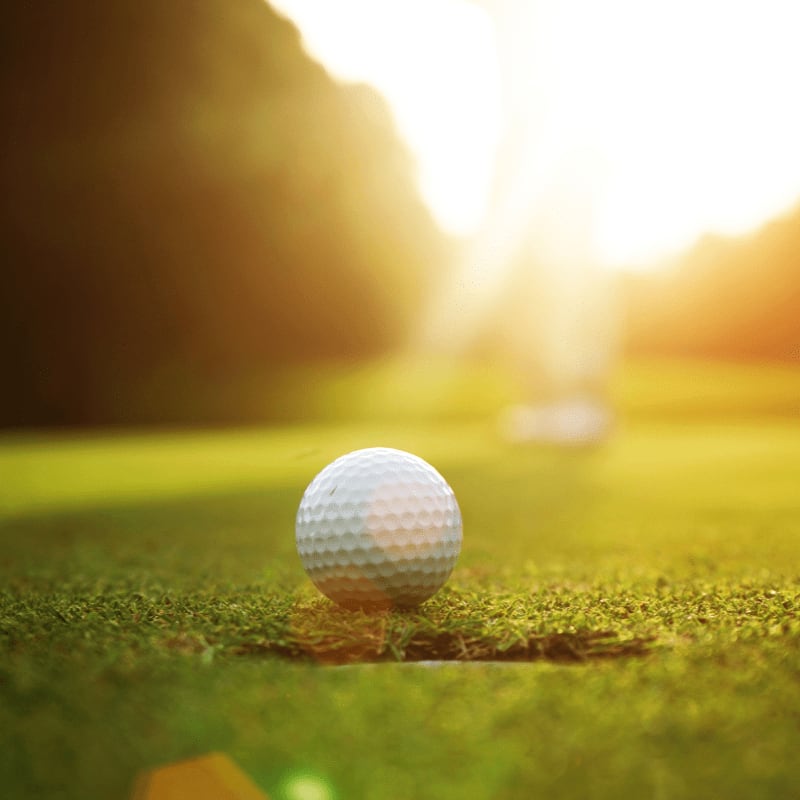 A golf ball rests on a putting green in the foreground, with a blurred background of trees and a bright sunbeam.