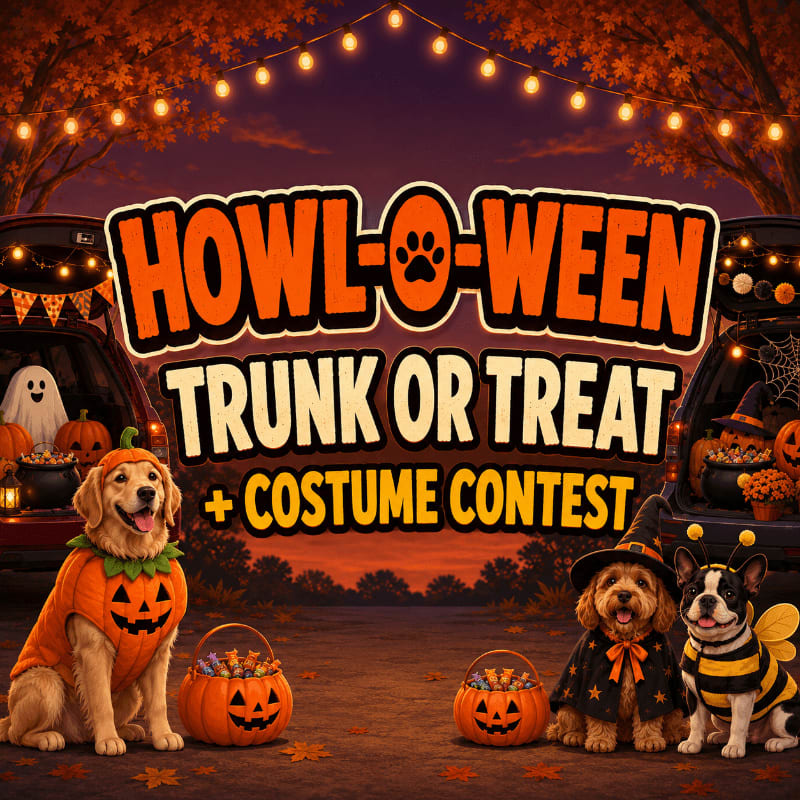 Three dogs in Halloween costumes sit in front of decorated car trunks, with string lights and autumn trees in the background.