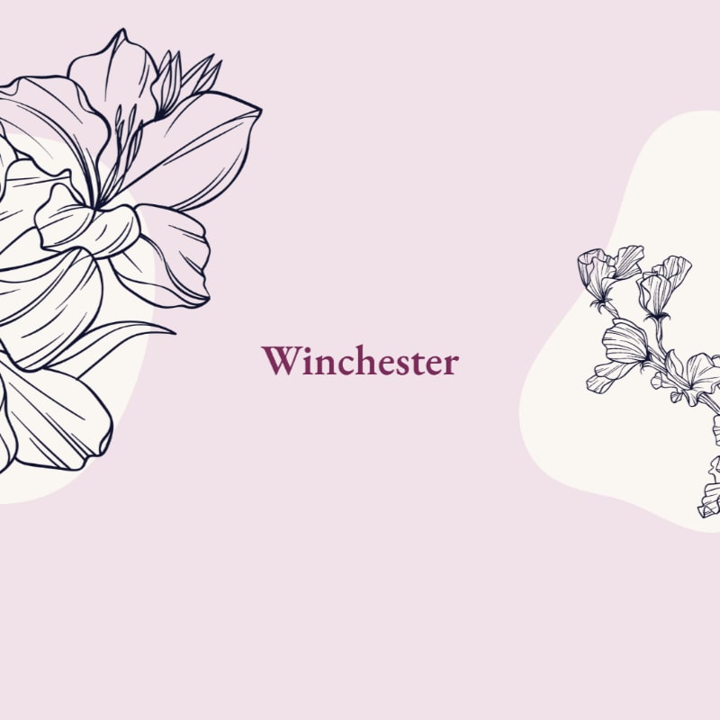 Delicate line drawings of flowers frame the word "Winchester" against a soft pink and cream background.