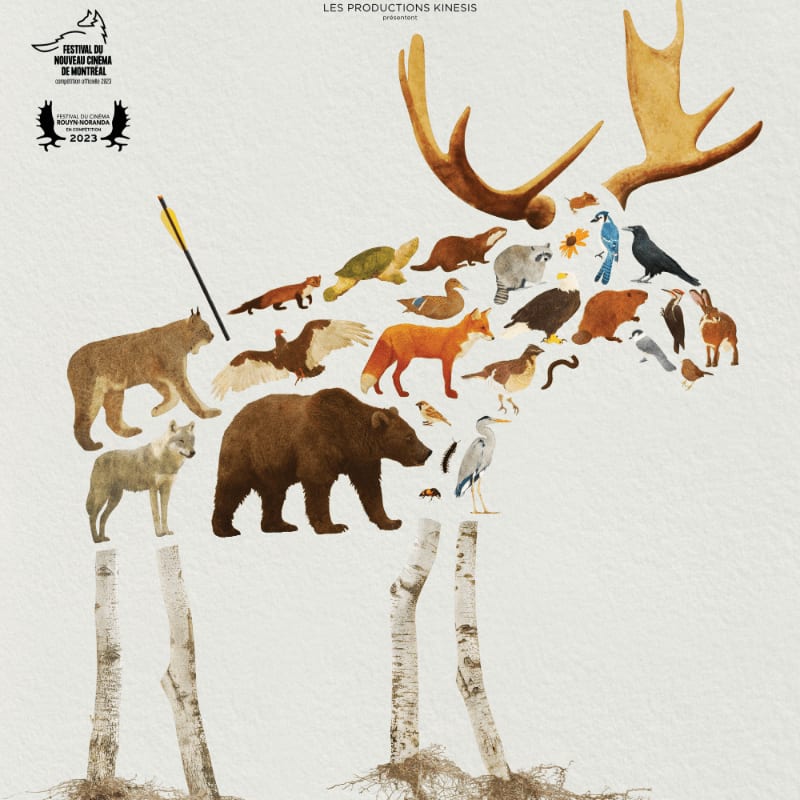 A collage of various animals forms the silhouette of a moose, standing on birch logs against a textured, light background.