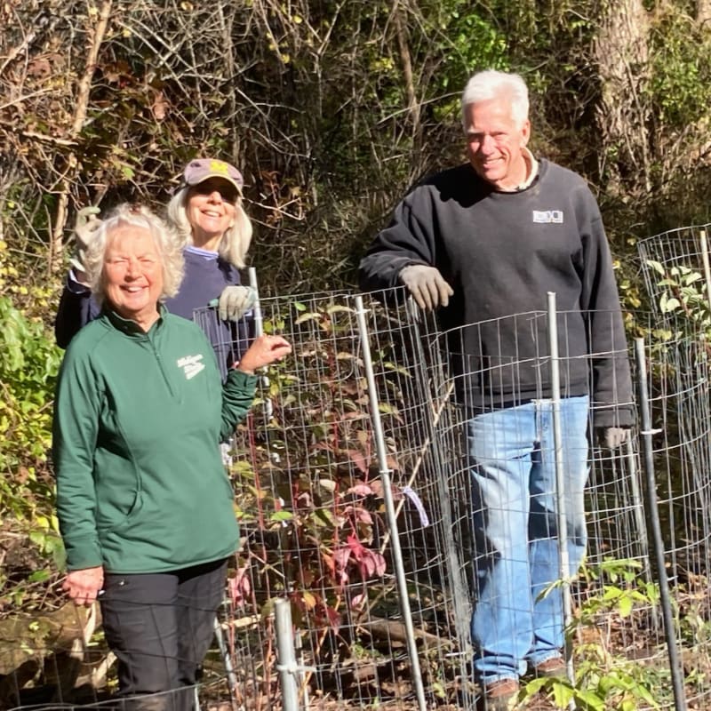Three smiling people stand behind protective fencing around young plants, with a wooded area in the background.