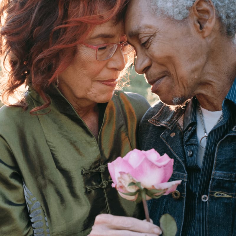 An elderly couple with foreheads touching and a pink rose in the foreground are bathed in soft, warm light against a blurred, natural background.