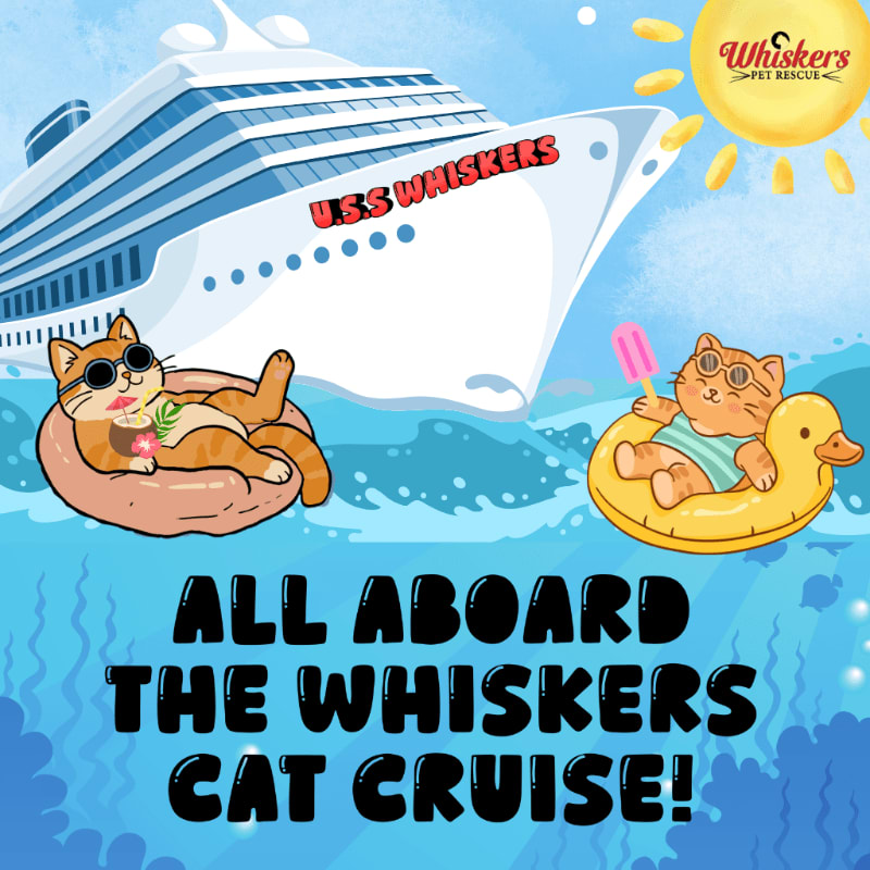 Two cats relax on inflatable toys in the foreground with a large cruise ship named "U.S.S. Whiskers" sailing in the background under a sunny sky.