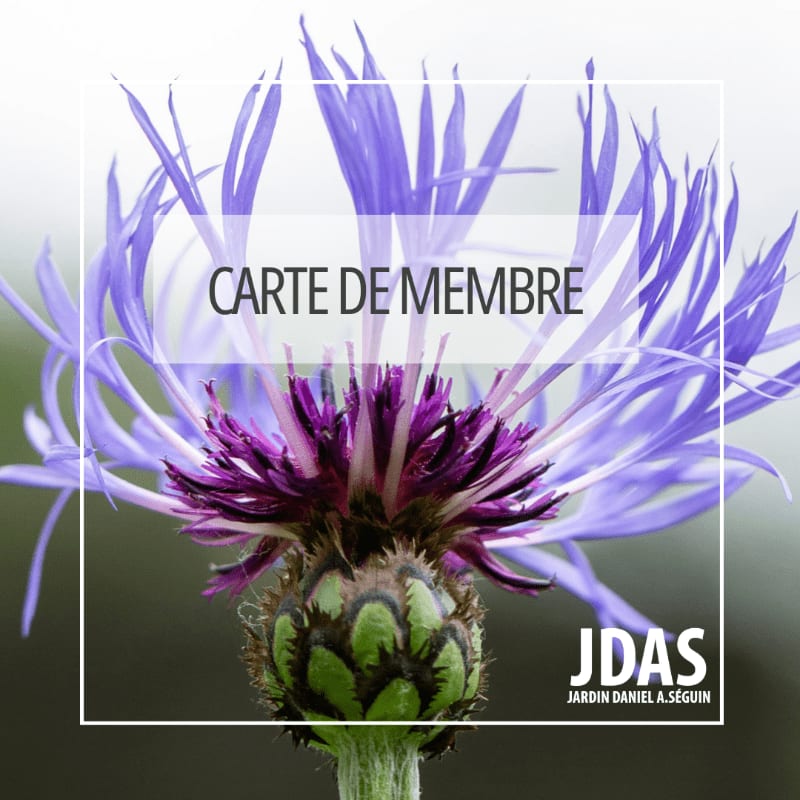 A close-up of a purple cornflower with the text "CARTE DE MEMBRE" overlaid in the foreground and a logo in the background.