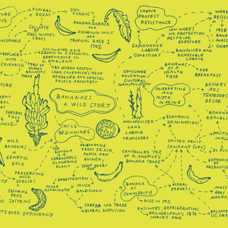 In the foreground, a hand-drawn diagram illustrates the complex history and impact of bananas, while the background is a textured yellow surface.