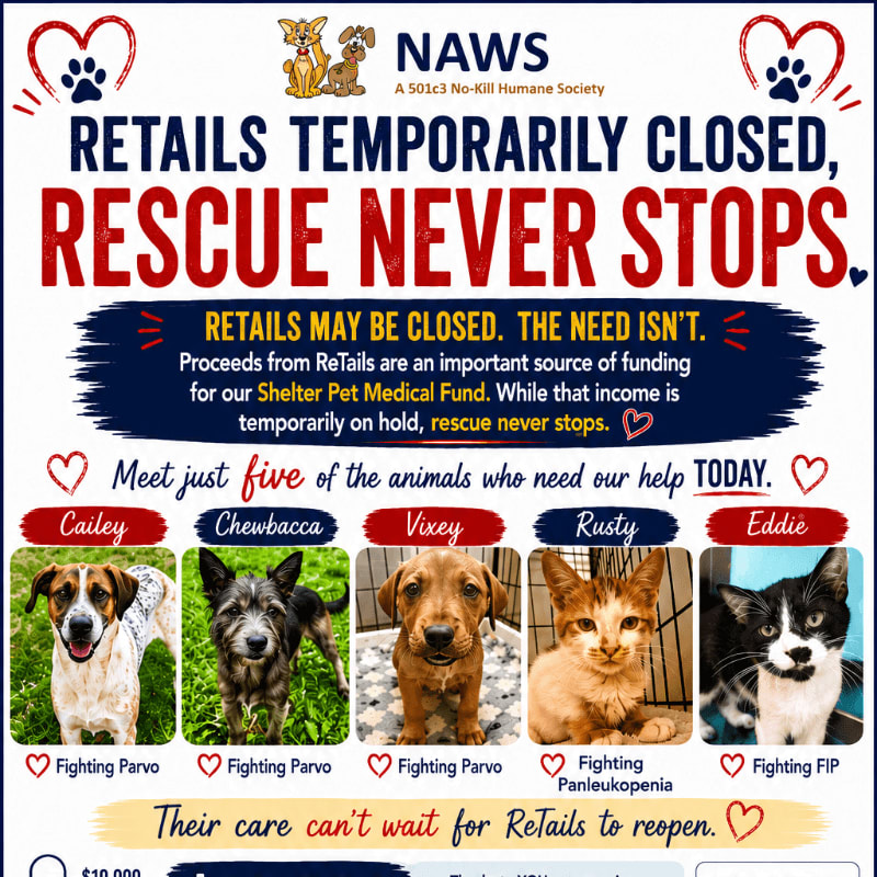 A happy dog and cat are in the foreground of a flyer announcing that NAWS is temporarily closed but rescue efforts continue, with a matching donation challenge highlighted.