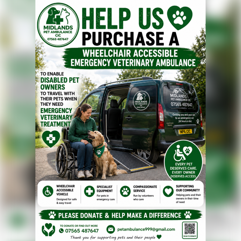 A woman in a wheelchair and her golden retriever stand beside a dark green van with a ramp, while text above calls for donations to purchase a wheelchair-accessible emergency veterinary ambulance.