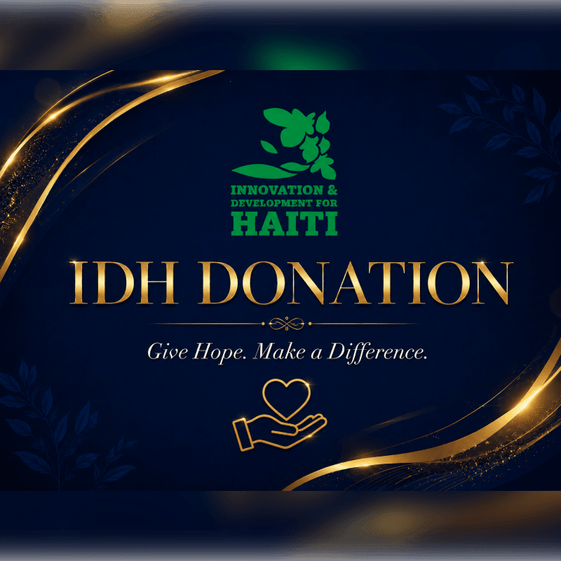 A golden heart rests on an open hand in the foreground, set against a dark blue background with swirling golden accents and the "IDH DONATION" text.