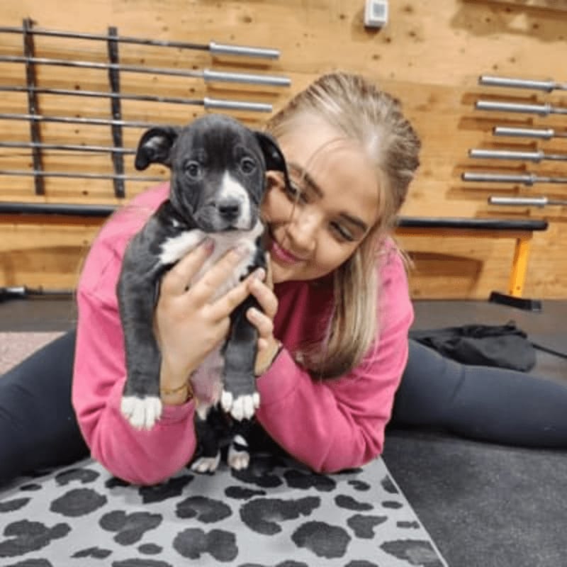 A young woman in a pink sweatshirt smiles as she holds a black and white puppy in front of weightlifting equipment.