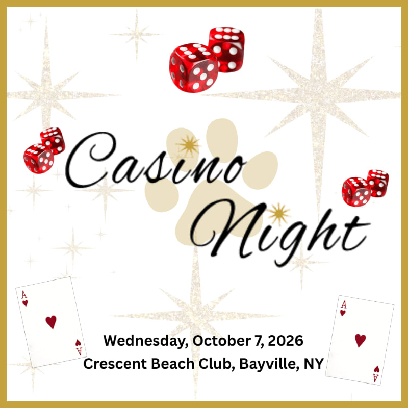 Red dice and ace cards are in the foreground, with "Casino Night" text and sparkling starbursts in the background.