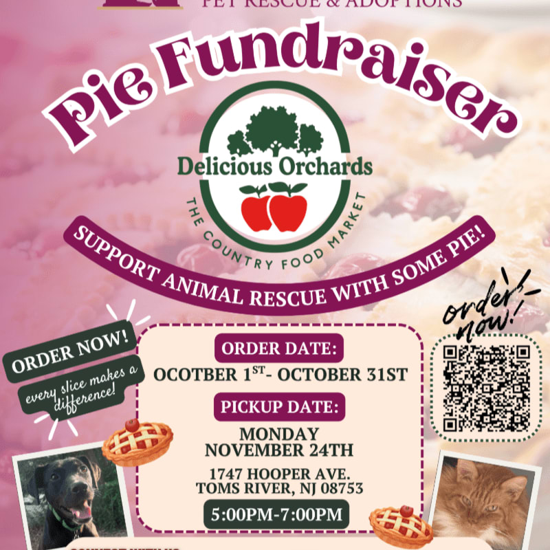A pink flyer advertises a "Pie Fundraiser" for animal rescue, featuring a Delicious Orchards logo, pie slices, and photos of pets in the foreground, with a blurred pie filling in the background.