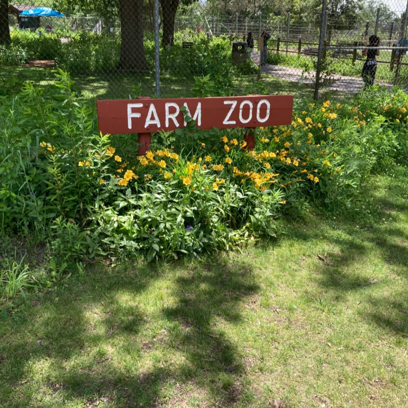 A red "FARM ZOO" sign stands amidst lush green foliage and yellow wildflowers in the foreground, with a chain-link fence and trees visible in the background.