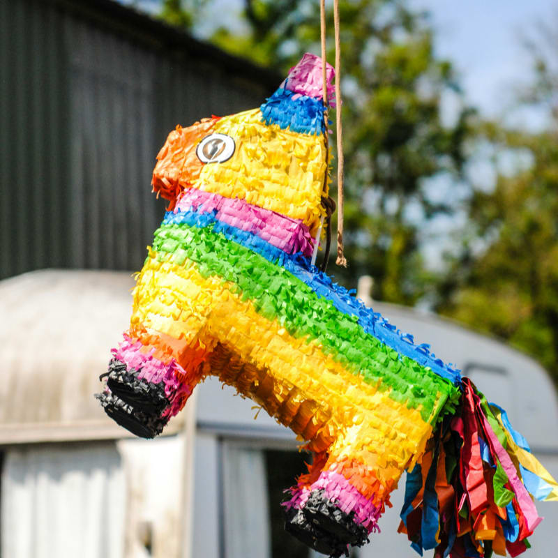multicolored donkey pinata