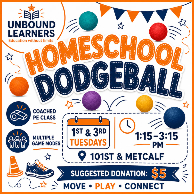 Colorful dodgeballs float around the text "HOMESCHOOL DODGEBALL" in the foreground, while a festive banner and stars decorate the background.