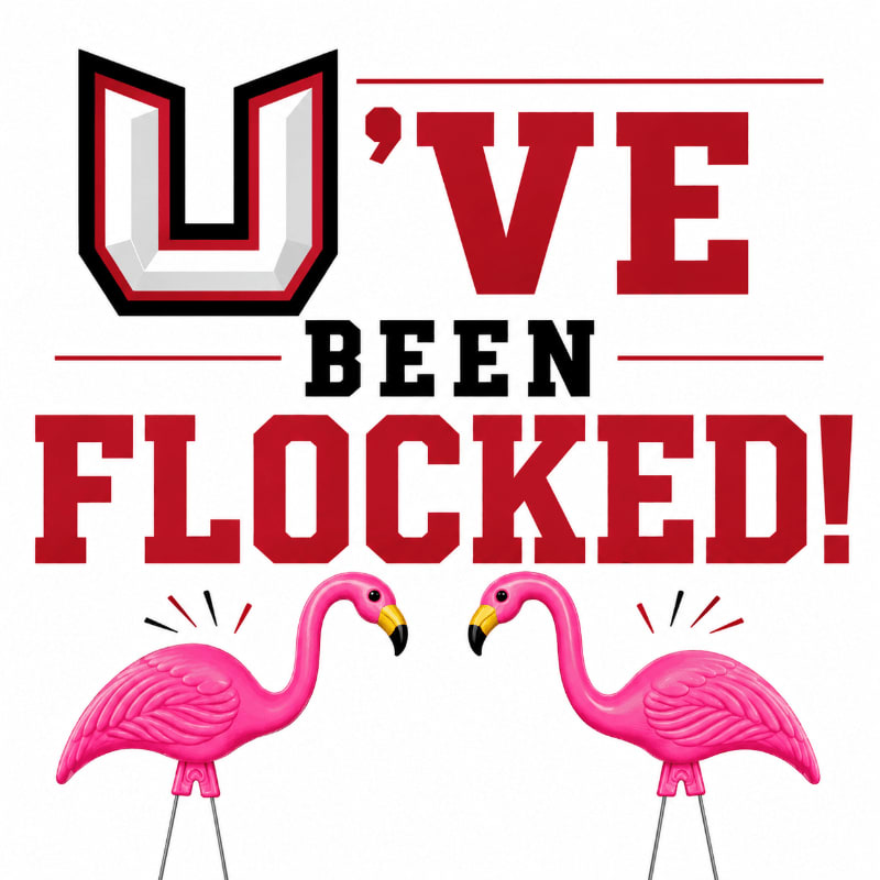 Two pink plastic flamingos stand in the foreground below bold red text that reads "U'VE BEEN FLOCKED!" against a white background.