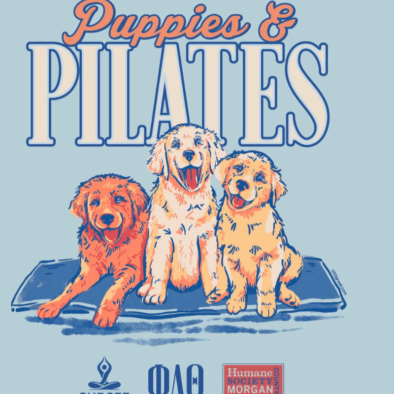 Three golden retriever puppies sit on a blue yoga mat in the foreground, with the words "Puppies & Pilates" in large, stylized lettering against a light blue background.
