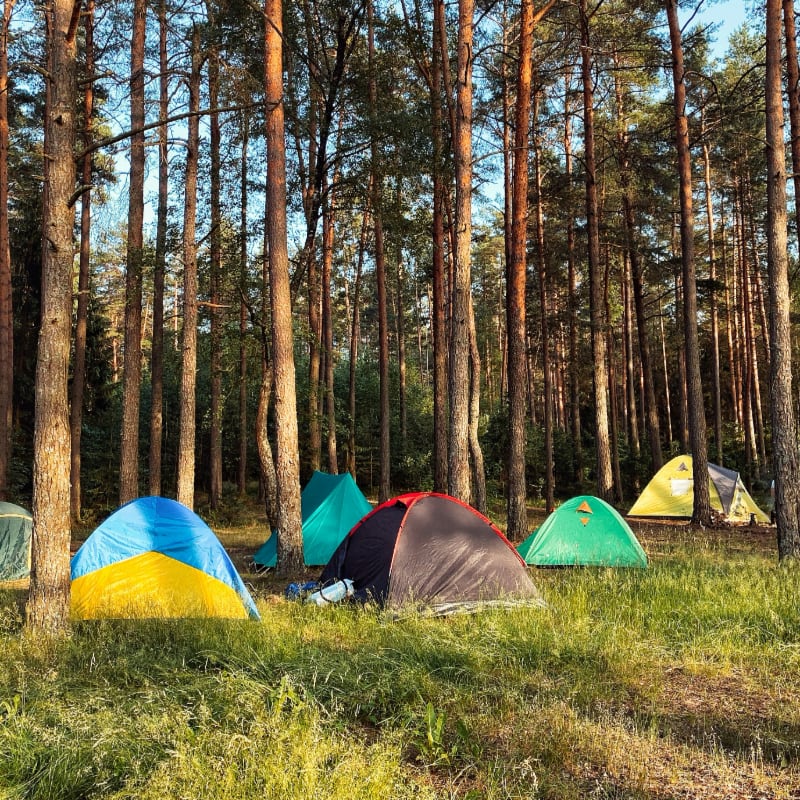 blue yellow and red dome tent in forest during daytime