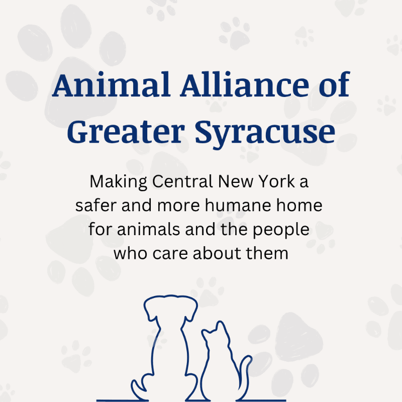A silhouette of a dog and cat sits in the foreground against a light background with faint paw prints and the text "Animal Alliance of Greater Syracuse Making Central New York a safer and more humane home for animals and the people who care about them."