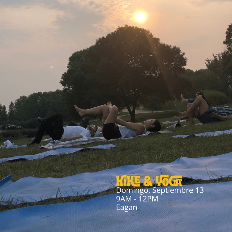 People practice yoga on mats in a grassy park with a large tree and the sun setting in the background.