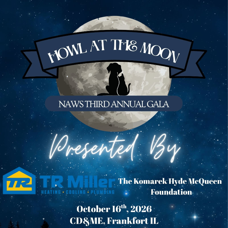 A silhouette of a dog and cat sit before a large moon with stars in the background, advertising "Howl at the Moon NAWS Third Annual Gala" presented by TR Miller and The Komarek Hyde McQueen Foundation.
