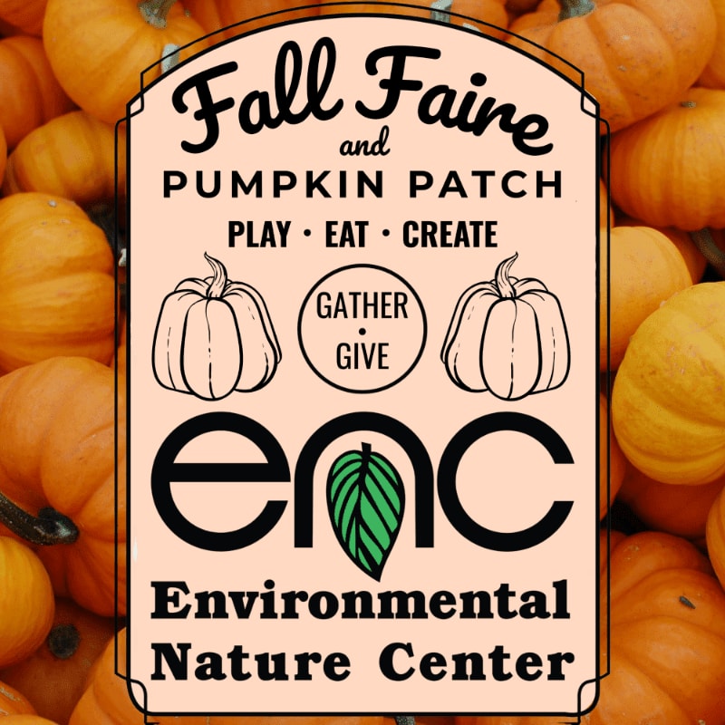 A sign for the "Fall Faire and Pumpkin Patch" at the Environmental Nature Center is displayed against a backdrop of numerous pumpkins.