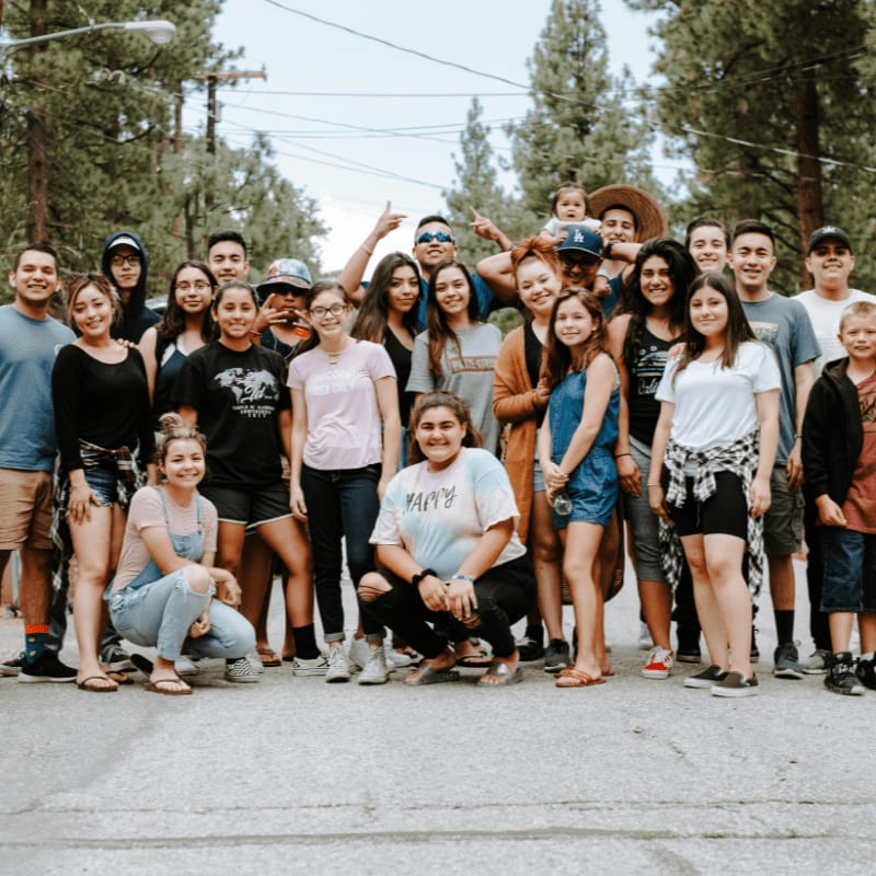 group of people taking photo near brown wooden tree