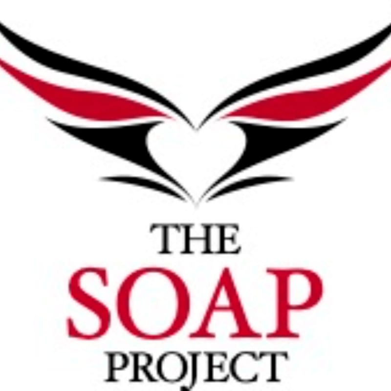 A stylized heart with wings in black and red hovers above the words "THE SOAP PROJECT" in black and red text against a white background.