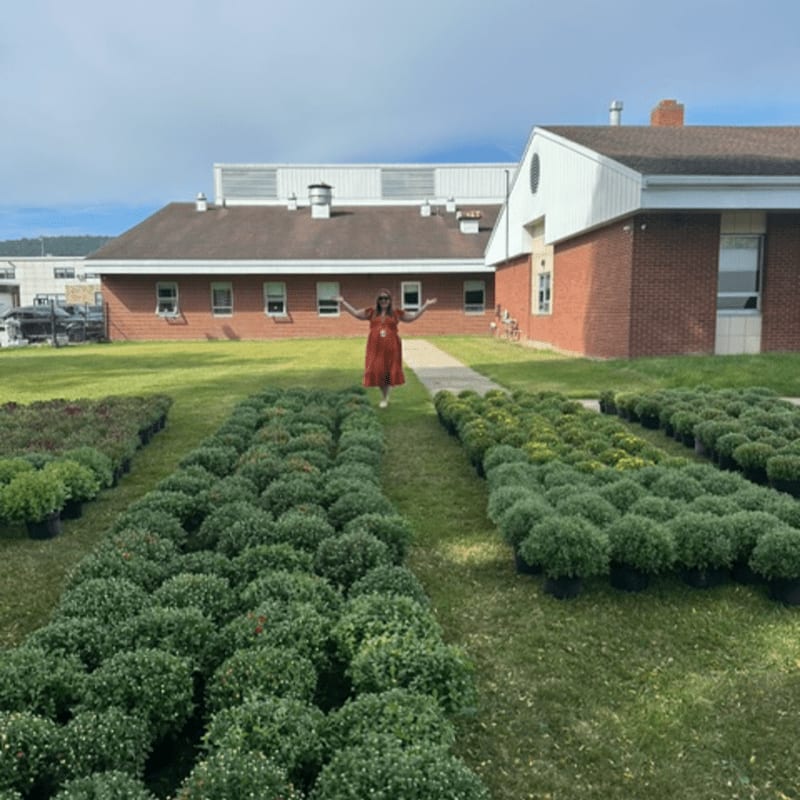 Rows of potted green plants fill the foreground, leading to a woman standing in front of a brick building with a large white roof in the background.