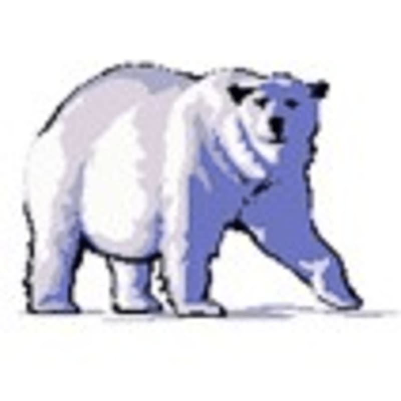 A polar bear with a blueish tint walks across a white background with a faint shadow.
