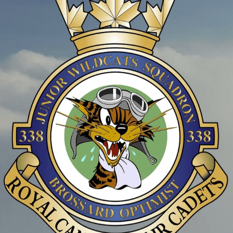 A cartoon wildcat wearing goggles and a scarf is featured in the foreground, set against a backdrop of a crown and a blue circular emblem with text, all against a cloudy sky.