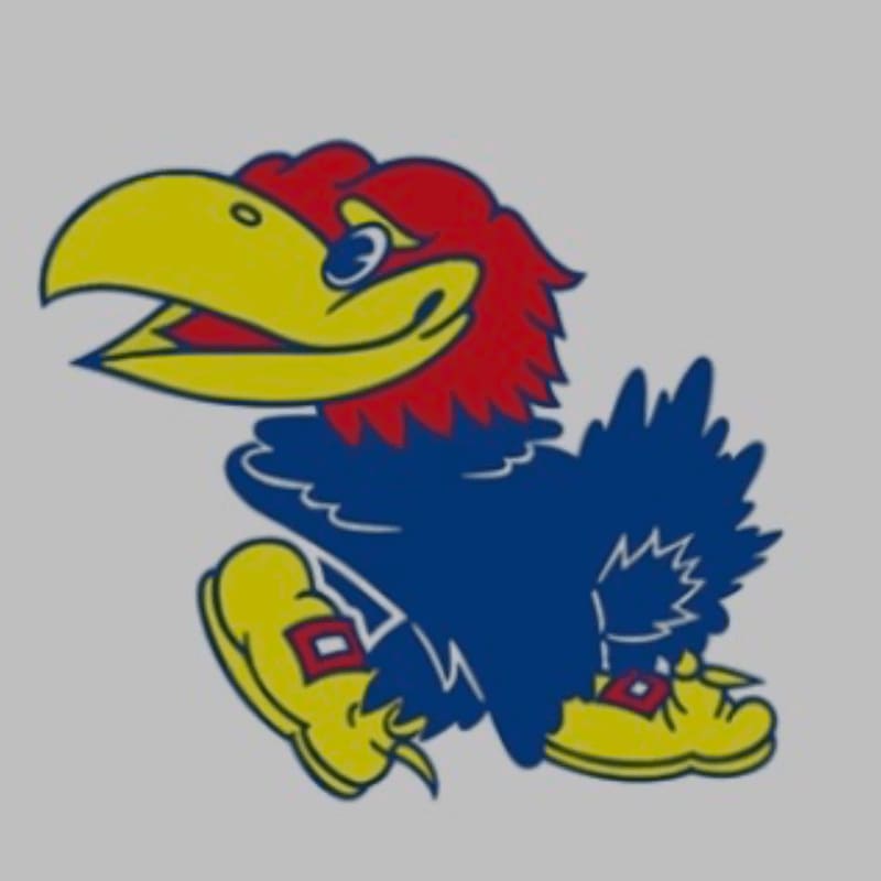 A cartoon bird with a yellow beak and red crest runs on a plain gray background.
