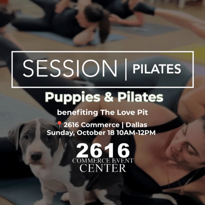A cute puppy sits on a yoga mat in the foreground, while people do pilates in the blurred background.