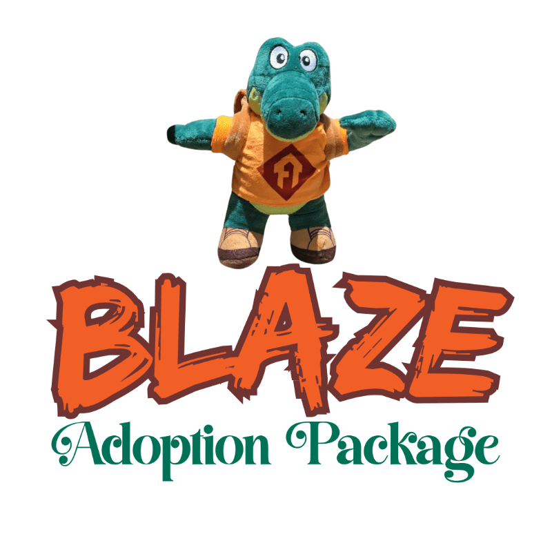 A plush alligator wearing an orange shirt stands above the word "BLAZE" in fiery orange letters, with "Adoption Package" written in green script below.