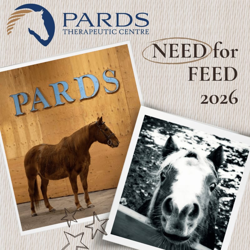 A brown horse stands in front of a wooden wall with "PARDS" written on it, while a black and white photo of a horse's face is in the foreground, all set against a textured background with the text "NEED for FEED 2026".