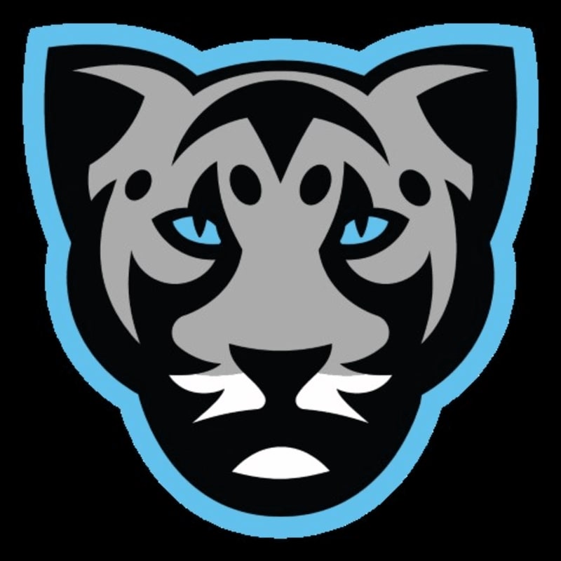 A stylized, fierce feline face with piercing blue eyes and gray markings is outlined in light blue against a solid black background.